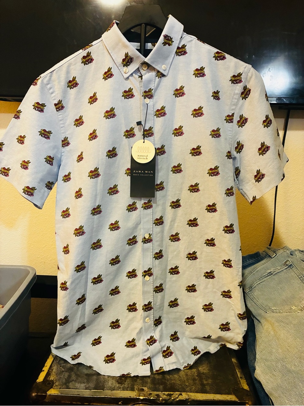 Zara Light Blue Short-Sleeve Button-Down